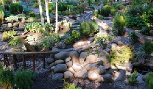 Quinn Mountain