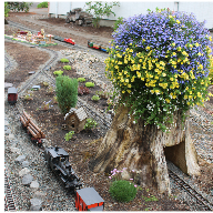 Camp Creek Railroad