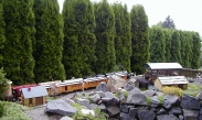 The Underground Railroad