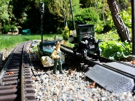 Blueberry Mountain Railroad